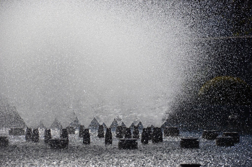 2017-04 Copenhagen/Havn/DSC_0258.JPG